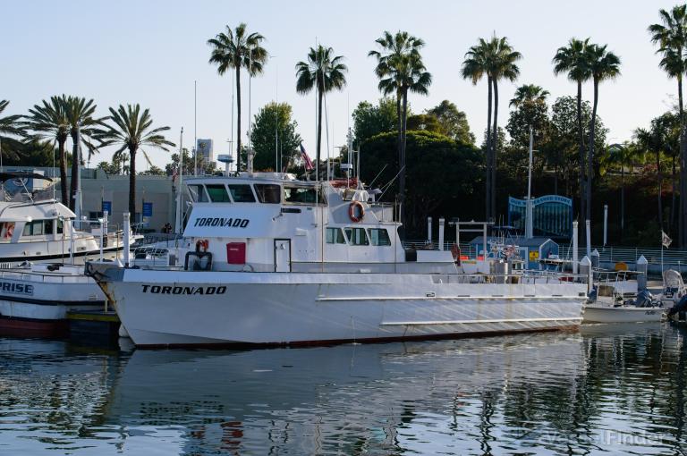 toronado (Fishing vessel) - IMO , MMSI 367169120, Call Sign WDD6167 under the flag of United States (USA)