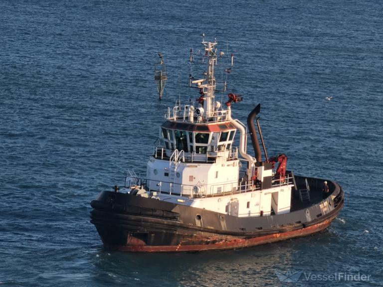 tito neri (Tug) - IMO 9319167, MMSI 247131200, Call Sign IQRH under the flag of Italy