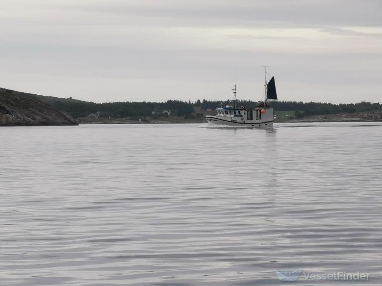 viknafjord (Fishing vessel) - IMO , MMSI 257993600, Call Sign LG9820 under the flag of Norway