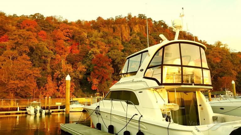 lady taz (Pleasure craft) - IMO , MMSI 338103006 under the flag of USA