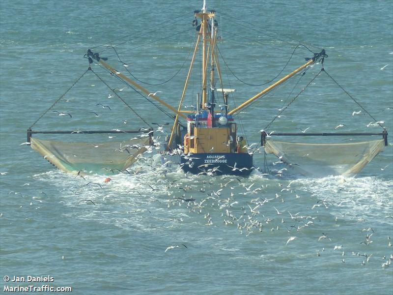 aquarius (Fishing vessel) - IMO , MMSI 244790025, Call Sign PI2596 under the flag of Netherlands