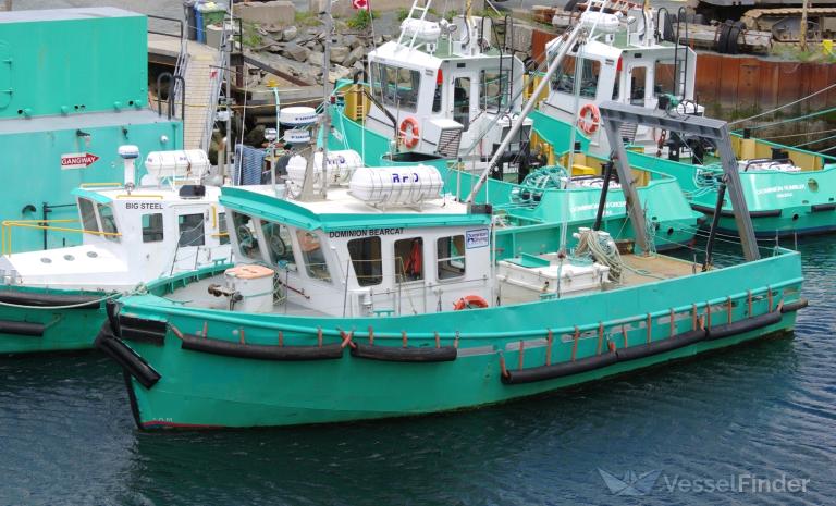 dominion bearcat (Tug) - IMO , MMSI 316013903 under the flag of Canada