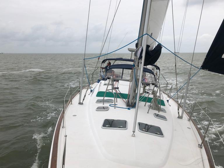 empty nest (Sailing vessel) - IMO , MMSI 368102230, Call Sign WDK9290 under the flag of United States (USA)