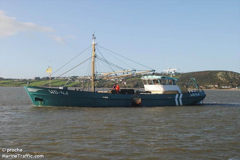 branding (Fishing vessel) - IMO , MMSI 250000361, Call Sign EI6796 under the flag of Ireland