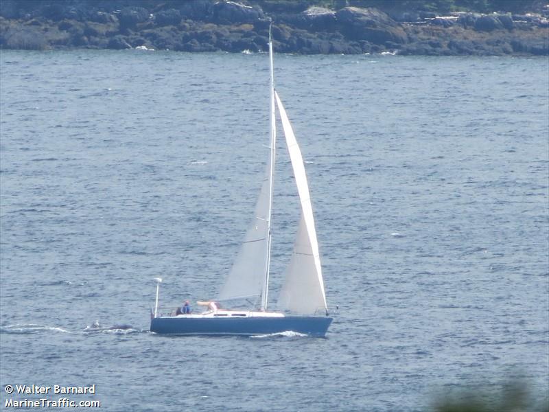 volunteer (Sailing vessel) - IMO , MMSI 367584570, Call Sign WDG9124 under the flag of United States (USA)