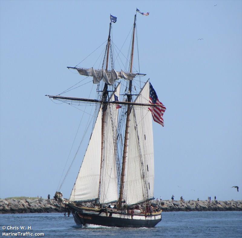 lynx (-) - IMO , MMSI 369603000 under the flag of United States (USA)