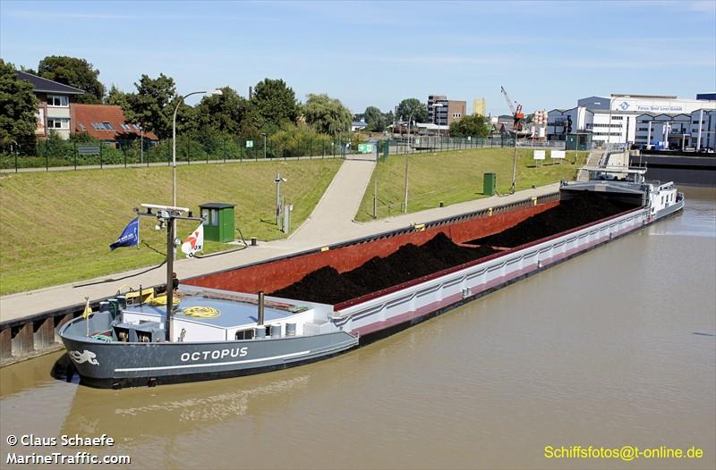 octopus (Cargo ship) - IMO , MMSI 244650841, Call Sign PI2368 under the flag of Netherlands