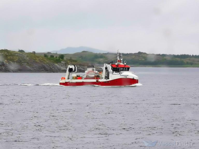 gollenes (Fishing Support Vessel) - IMO 9598622, MMSI 257018000, Call Sign LCOH under the flag of Norway