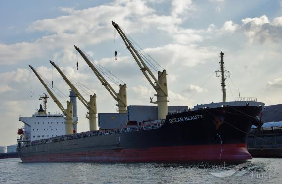 ocean beauty (Bulk Carrier) - IMO 9642186, MMSI 477305100, Call Sign VRLB4 under the flag of Hong Kong