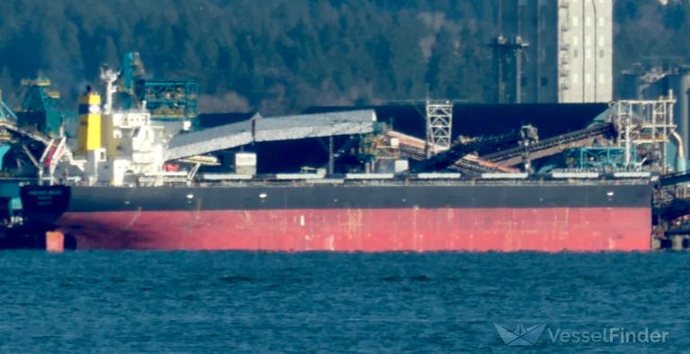 lowlands orange (Bulk Carrier) - IMO 9853058, MMSI 563094700, Call Sign 9V6539 under the flag of Singapore