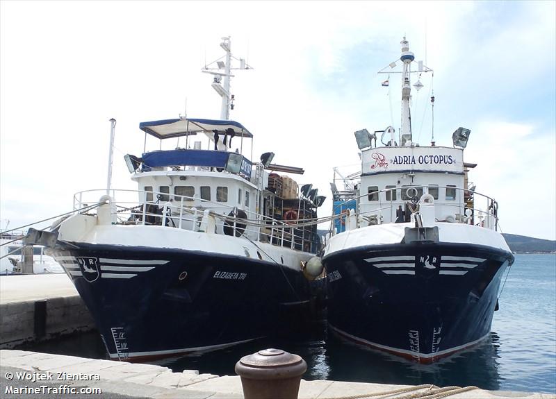 elizabeta tri (-) - IMO , MMSI 238363240, Call Sign 9AA4159 under the flag of Croatia