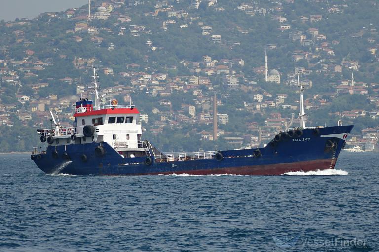 tatlisum (-) - IMO , MMSI 271002181, Call Sign TCBE6 under the flag of Turkey