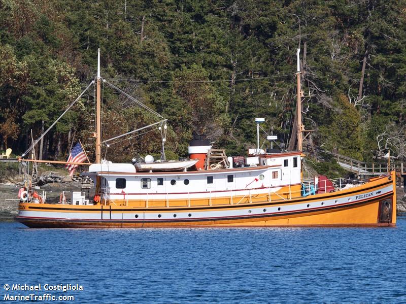 mv pelican (-) - IMO , MMSI 368042270, Call Sign WDK3134 under the flag of United States (USA)