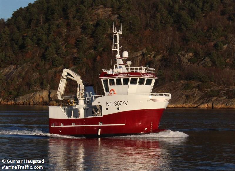 stig harry (Fishing vessel) - IMO , MMSI 257031020, Call Sign LH2430 under the flag of Norway