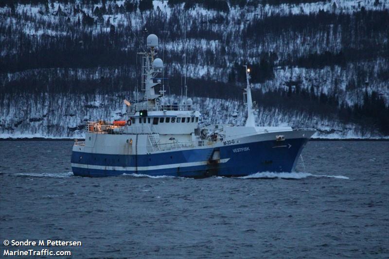 vestfisk (Fishing Vessel) - IMO 8015893, MMSI 257599500, Call Sign LJMS under the flag of Norway