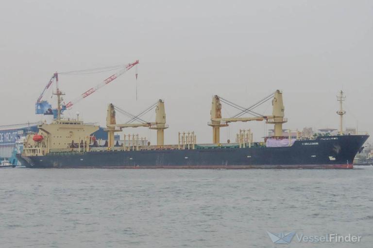 h whaleshark (General Cargo Ship) - IMO 9168348, MMSI 525114085, Call Sign YDAV2 under the flag of Indonesia