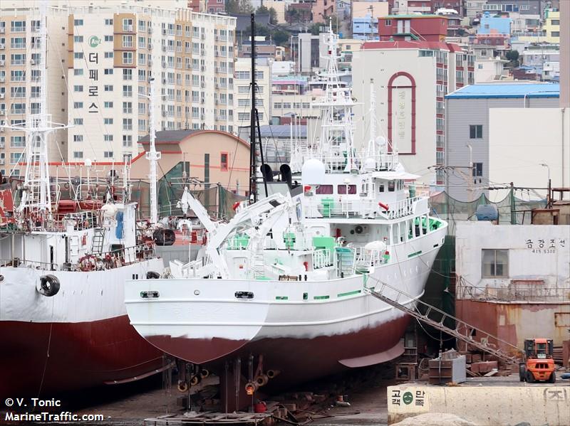 mugunghwa 32 (Fishing Support Vessel) - IMO 9358565, MMSI 440891000, Call Sign DTBQ3 under the flag of Korea