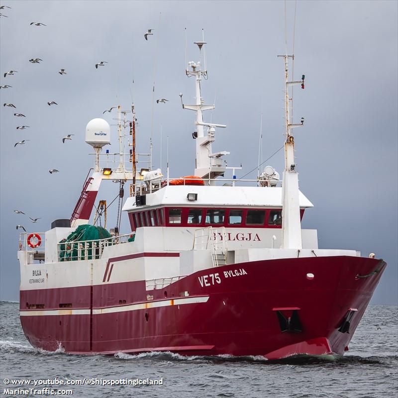 bylgja (Fishing Vessel) - IMO 8713847, MMSI 251021110, Call Sign TFHQ under the flag of Iceland