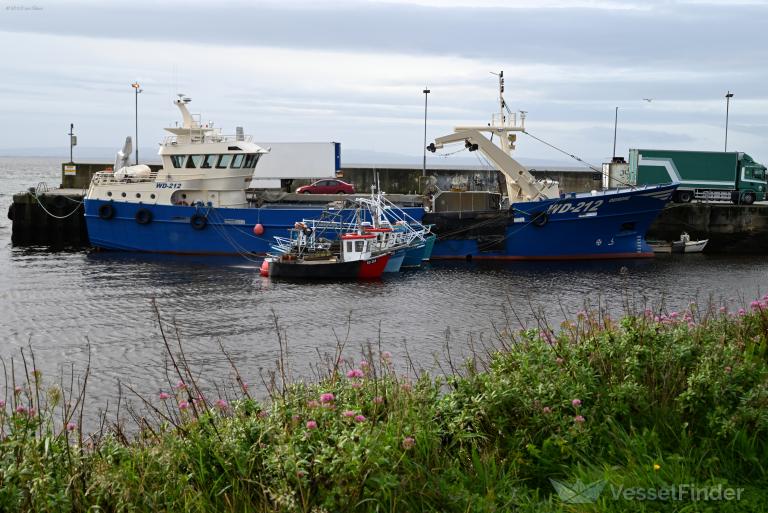 deirdre (Fishing Vessel) - IMO 9327724, MMSI 250000214, Call Sign EITS under the flag of Ireland