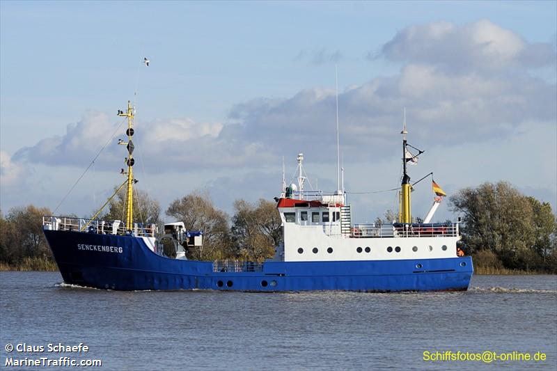 senckenberg (Fishing Support Vessel) - IMO 8137213, MMSI 211217760, Call Sign DDAW under the flag of Germany