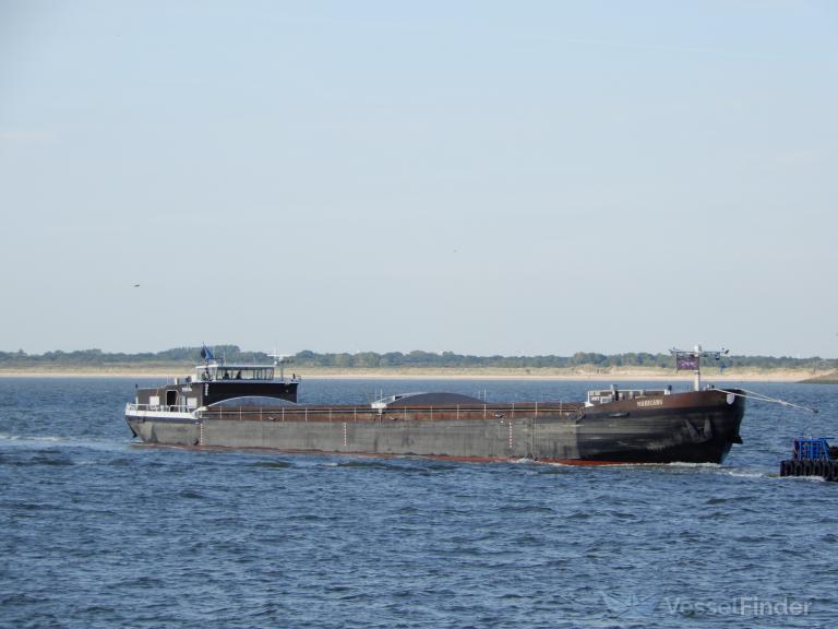mohicans (Cargo ship) - IMO , MMSI 244650958, Call Sign PD2679 under the flag of Netherlands