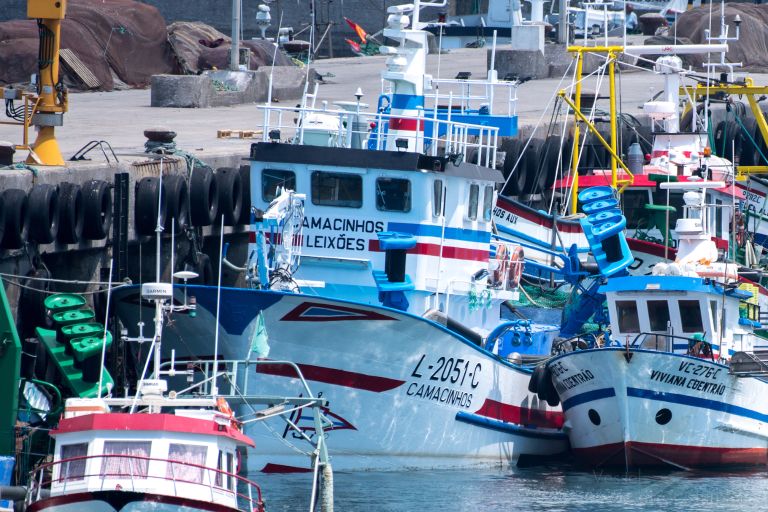 camacinhos (Fishing vessel) - IMO , MMSI 263411780, Call Sign CUDM 8 under the flag of Portugal