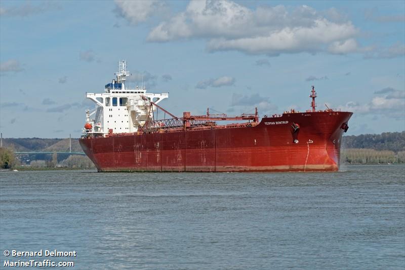 yeoman bontrup (Self Discharging Bulk Carrier) - IMO 8912297, MMSI 308918000, Call Sign C6JQ9 under the flag of Bahamas