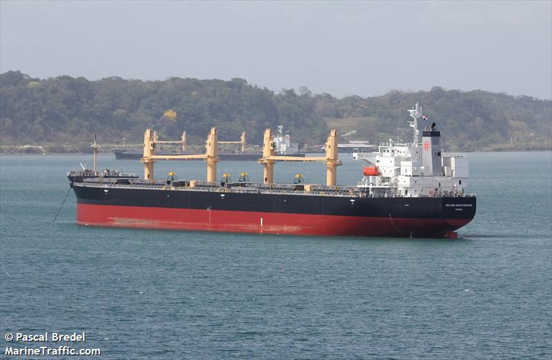 zennoh grain pegasus (Bulk Carrier) - IMO 9402017, MMSI 353320000, Call Sign 3FBC9 under the flag of Panama