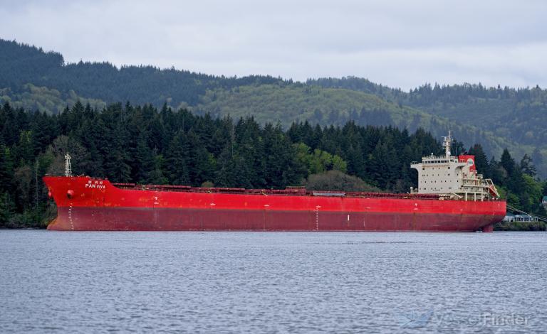 pan viva (Bulk Carrier) - IMO 9453494, MMSI 357841000, Call Sign 3FDN3 under the flag of Panama