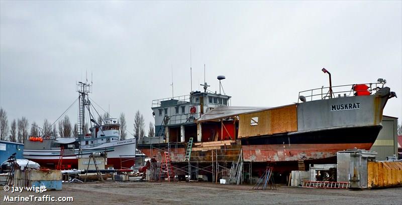 muskrat (Fishing Vessel) - IMO 5244259, MMSI 367488280, Call Sign WDF7801 under the flag of United States (USA)