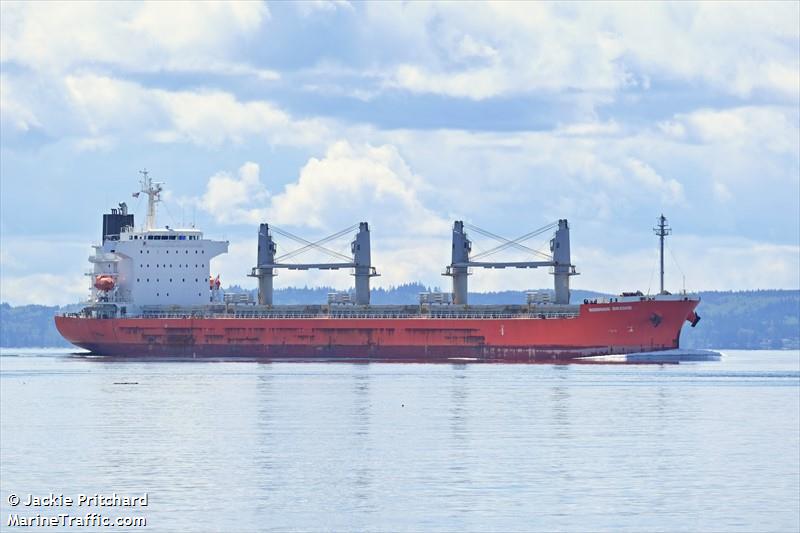 morning orchid (Bulk Carrier) - IMO 9844241, MMSI 372609000, Call Sign 3EVC3 under the flag of Panama