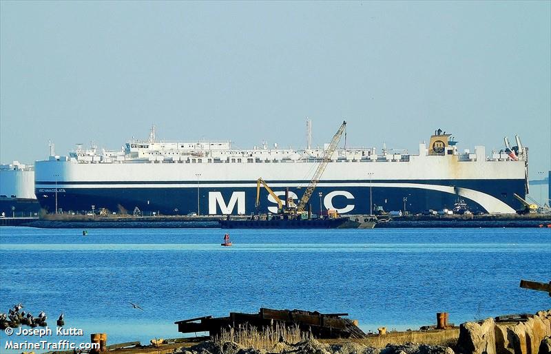 msc immacolata (Vehicles Carrier) - IMO 9463205, MMSI 373124000, Call Sign 3FLQ2 under the flag of Panama