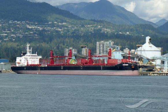 hoihow (Bulk Carrier) - IMO 9714238, MMSI 565302000, Call Sign 9V2461 under the flag of Singapore