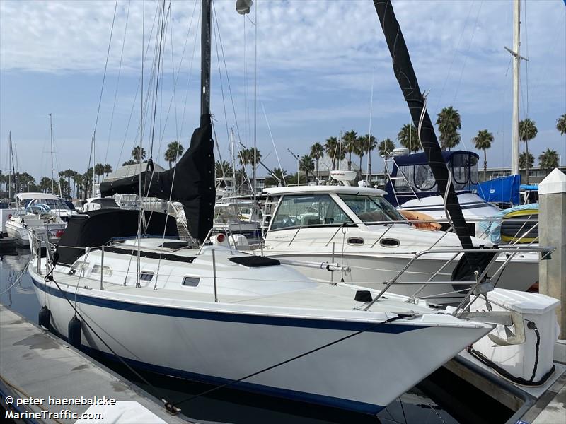thalassa (Sailing vessel) - IMO , MMSI 338108551 under the flag of USA