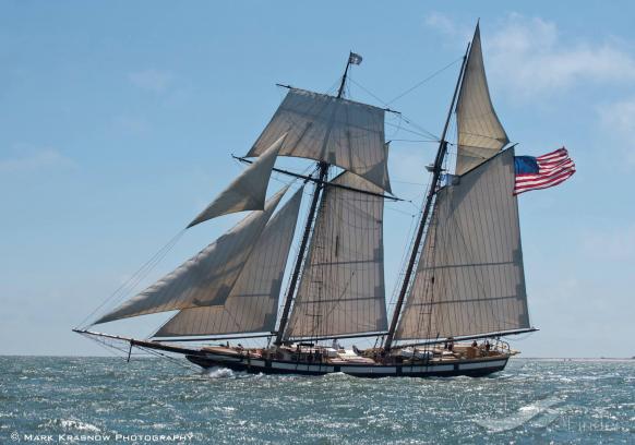 lynx (Sailing vessel) - IMO , MMSI 369603000 under the flag of United States (USA)