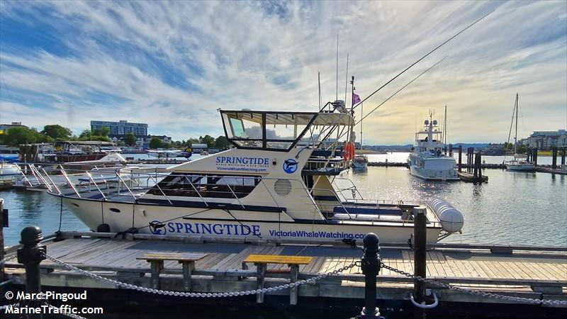 marauder iv (Passenger ship) - IMO , MMSI 316004946 under the flag of Canada