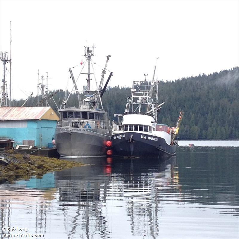 sea harvest (-) - IMO , MMSI 316007614 under the flag of Canada