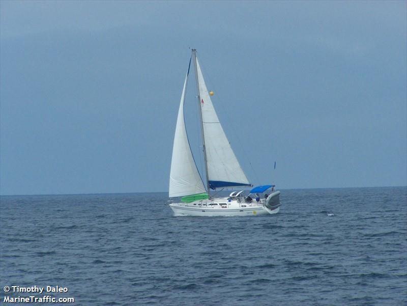 china cat (Sailing vessel) - IMO , MMSI 338133532 under the flag of USA