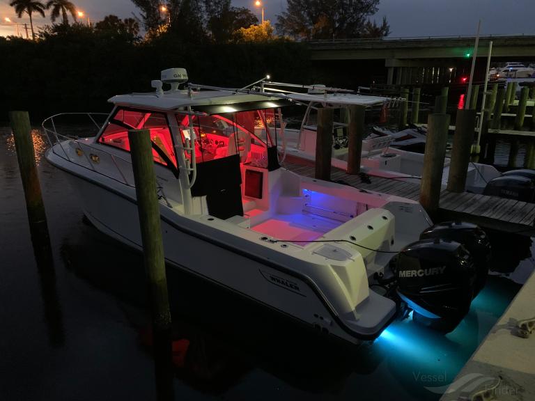 amelia (Pleasure craft) - IMO , MMSI 338390818 under the flag of USA