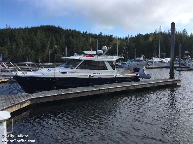 sea horse (Pleasure craft) - IMO , MMSI 367714130, Call Sign WD15995 under the flag of United States (USA)