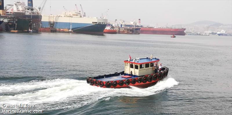 delfin-1 (Port tender) - IMO , MMSI 271010486, Call Sign TC8208 under the flag of Turkey