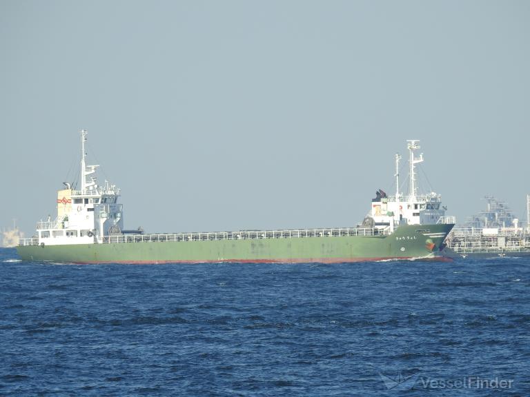 shouryu (Cargo ship) - IMO , MMSI 431003684, Call Sign JD3393 under the flag of Japan