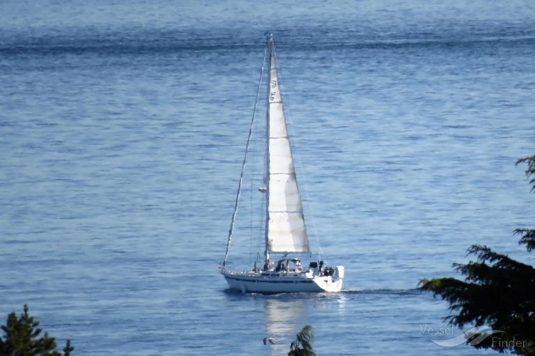 endorfin (Sailing vessel) - IMO , MMSI 338070888 under the flag of USA
