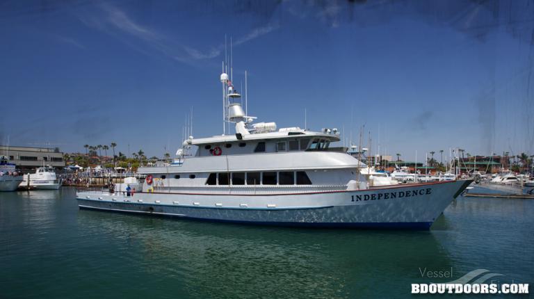 independence (Passenger ship) - IMO , MMSI 338795000 under the flag of USA