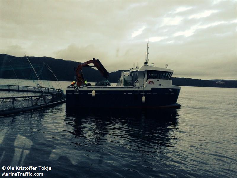 nuen (Fishing vessel) - IMO , MMSI 257560700, Call Sign LG8013 under the flag of Norway