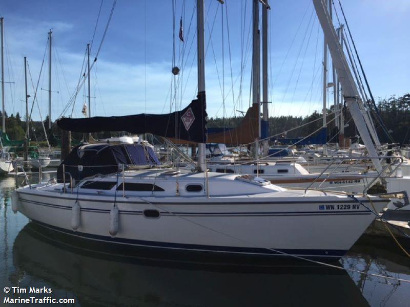 elusive (Sailing vessel) - IMO , MMSI 368095080, Call Sign WDK8538 under the flag of United States (USA)