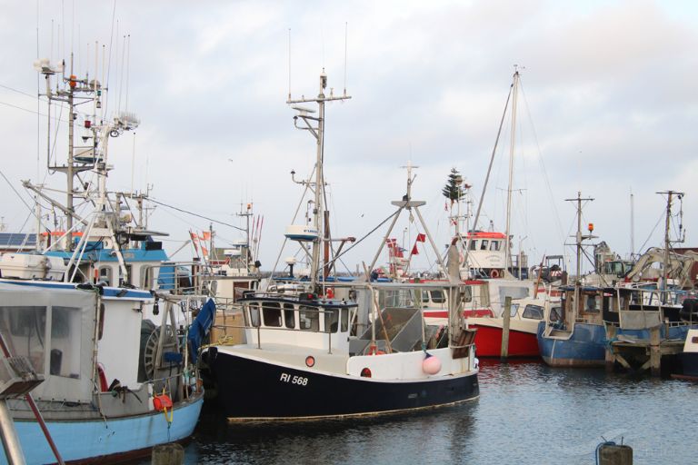 camilla h78 (Fishing vessel) - IMO , MMSI 219004308, Call Sign XP 3890 under the flag of Denmark