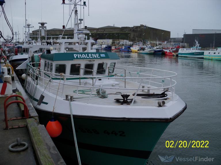 fvphalene (Fishing vessel) - IMO , MMSI 228313000, Call Sign FHLG under the flag of France