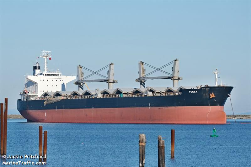 tegea (Bulk Carrier) - IMO 9478937, MMSI 319132300, Call Sign ZGHJ4 under the flag of Cayman Islands