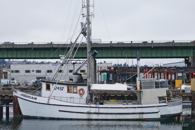 pelican (Fishing vessel) - IMO , MMSI 367339120, Call Sign WDE3440 under the flag of United States (USA)